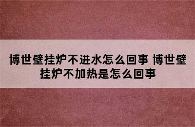 博世壁挂炉不进水怎么回事 博世壁挂炉不加热是怎么回事